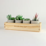 Box Planter With Cement Pots