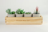 Box Planter With Cement Pots